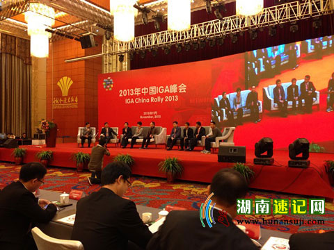 ɳ¼2013йIGAڳɳٿ